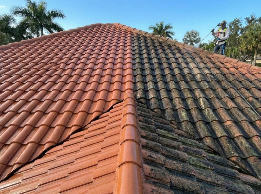 Roof cleaning