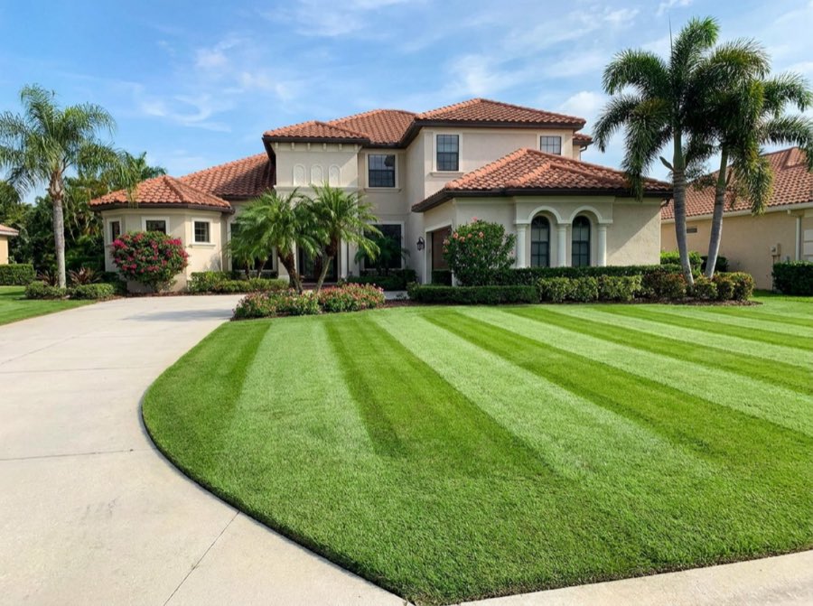 Lawn Care